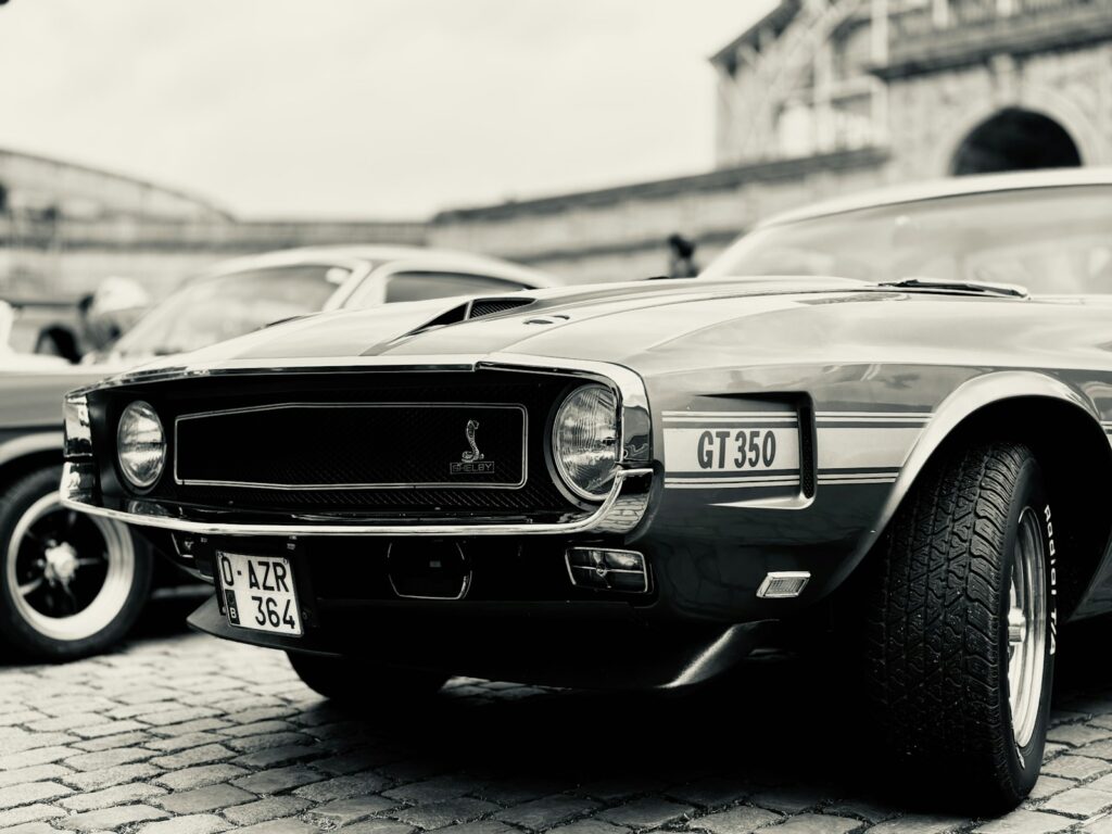 A black and white photo of a mustang